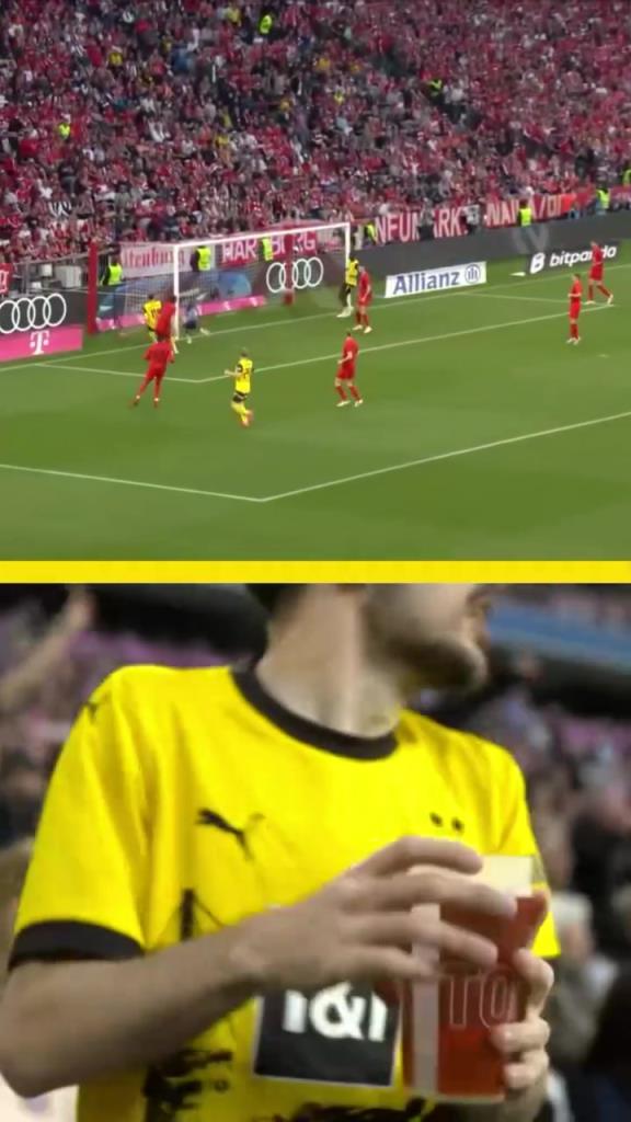 勇者無(wú)懼！這是真多特球迷！在拜仁球迷區(qū)一個(gè)人肆意慶祝！